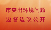 市突出環境問題邊督邊改公開